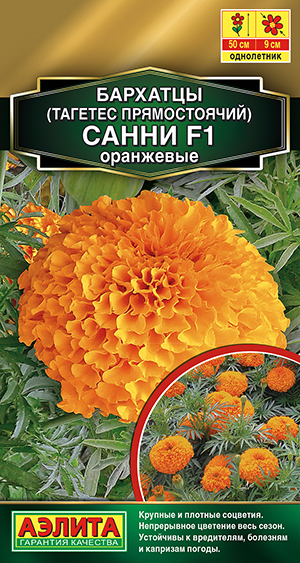 �������� ����� F1 ��������� ������������