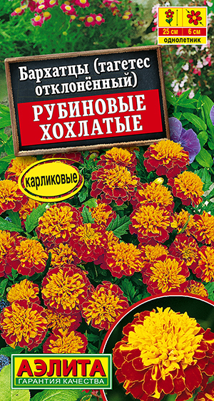 �������� ��������� �������� �����������