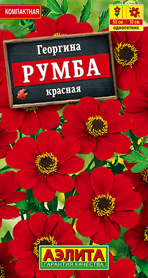 Георгина Румба красная Георгина Румба красная
