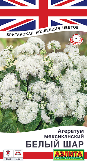 Агератум мексиканский Белый шар Агератум мексиканский Белый шар