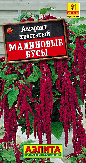 ������� ��������� ����