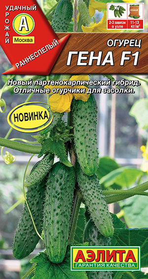 ������ ���� F1