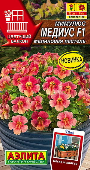 ������� ������ F1 ��������� �������