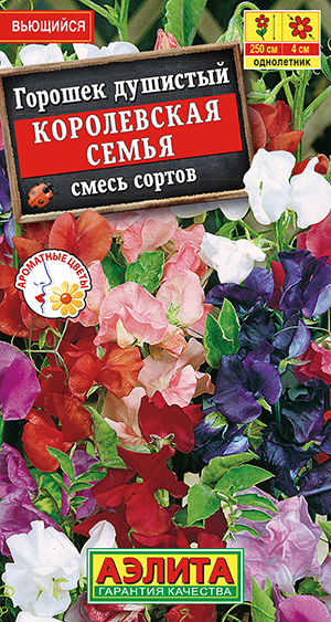 Горошек душистый Королевская семья, смесь сортов Горошек душистый Королевская семья, смесь сортов