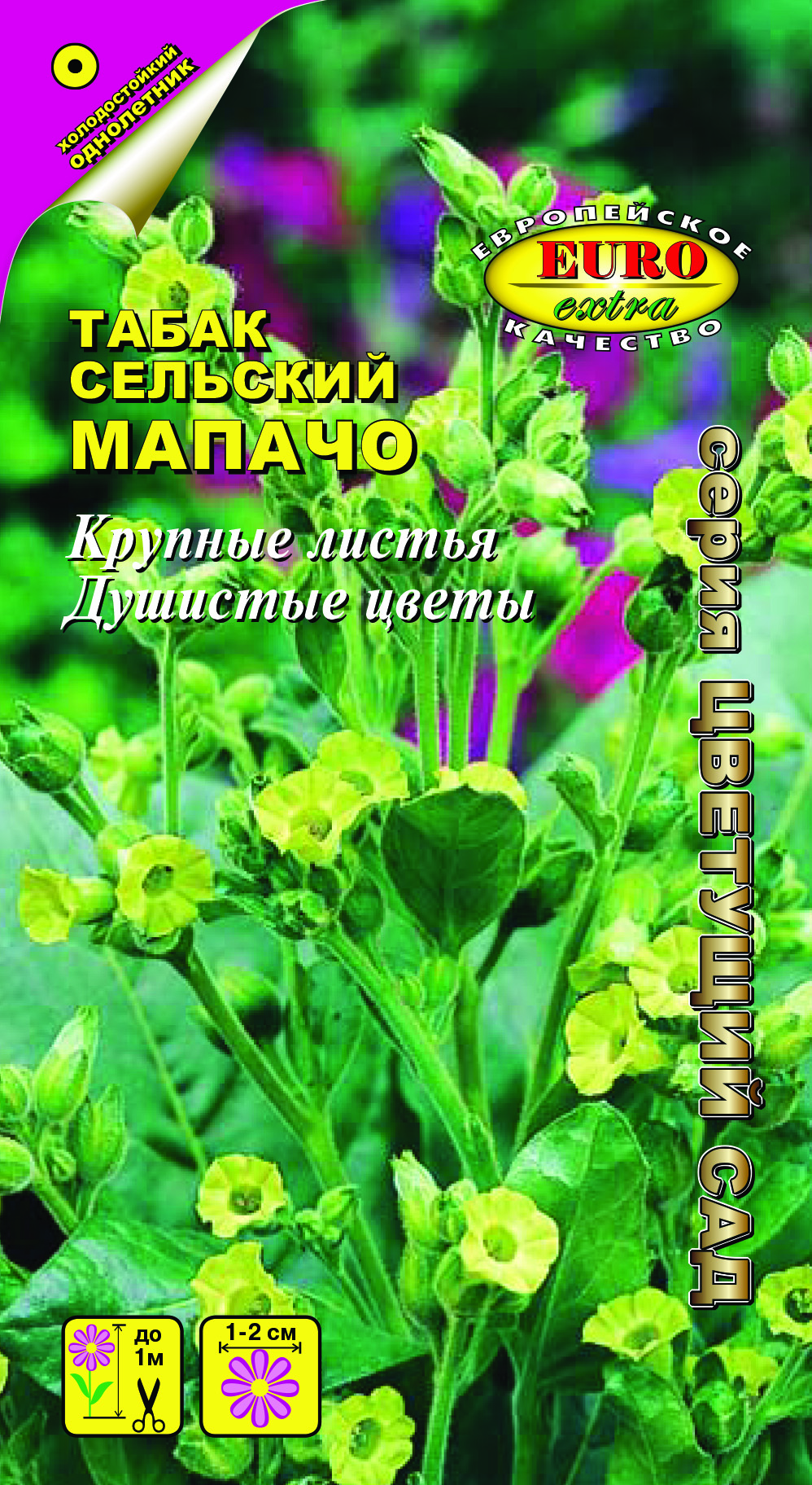 Табак Мапачо сельский Табак Мапачо сельский