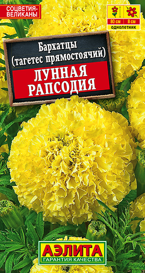 Бархатцы Лунная рапсодия прямостоячие Бархатцы Лунная рапсодия прямостоячие