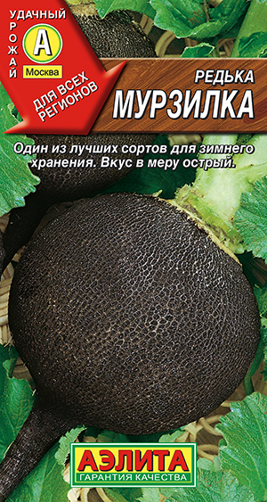 Редька Мурзилка Редька Мурзилка