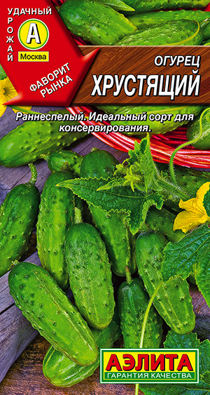 ������ ���������