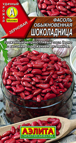 ������ ������������ �����������