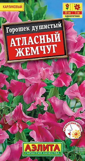 Горошек душистый Атласный жемчуг Горошек душистый Атласный жемчуг