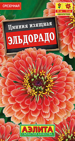 ������ ���������