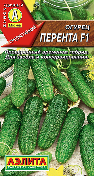 ������ ������� F1