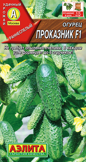 Огурец Проказник F1 ® Огурец Проказник F1 ®