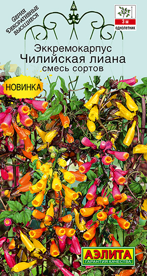 Эккремокарпус Чилийская лиана, смесь сортов Эккремокарпус Чилийская лиана, смесь сортов