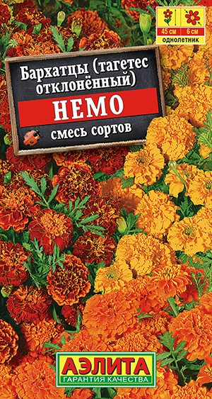 �������� ����, ����� ������