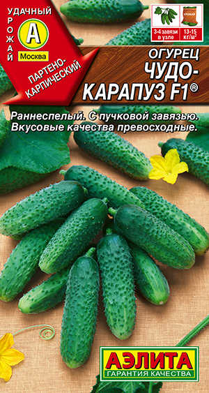 Огурец Чудо-карапуз F1 ® Огурец Чудо-карапуз F1 ®