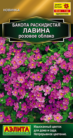 Бакопа раскидистая Лавина розовое облако Бакопа раскидистая Лавина розовое облако
