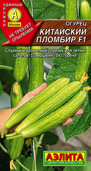 Огурец Китайский пломбир F1 Огурец Китайский пломбир F1