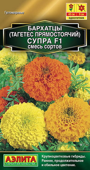 �������� ����� ����� ������ F1 ������������