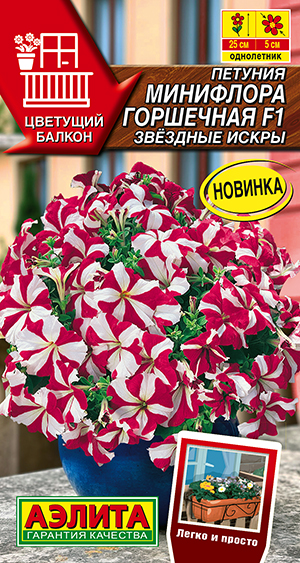 Петуния Минифлора горшечная F1 звёздные искры Петуния Минифлора горшечная F1 звёздные искры