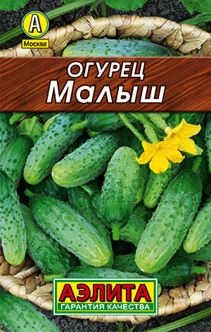 ������ �����