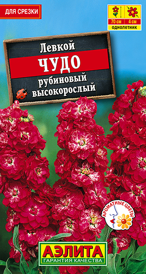 Левкой высокорослый Чудо рубиновый Левкой высокорослый Чудо рубиновый
