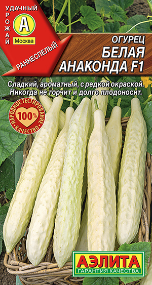 Огурец китайский Белая анаконда F1 Огурец китайский Белая анаконда F1