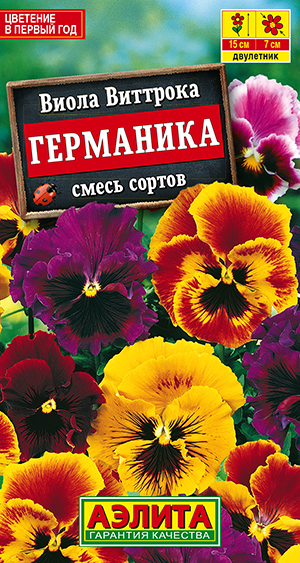 Виола Германика, смесь сортов Виола Германика, смесь сортов