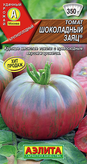 ����� ���������� ����