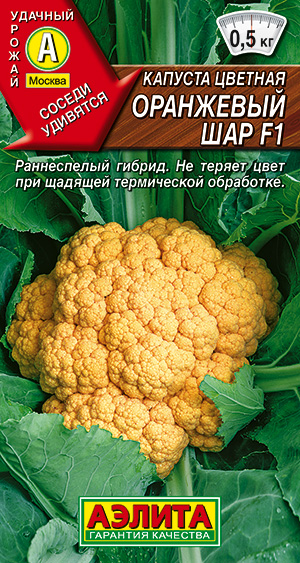 ������� ������� ��������� ��� F1