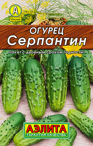 ������ ���������