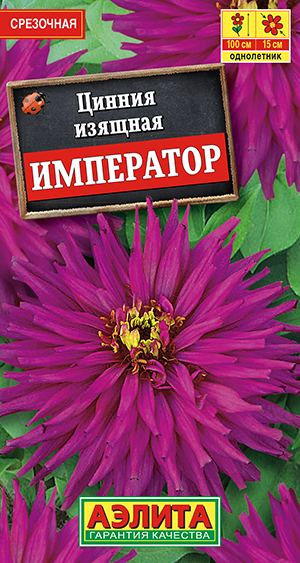 ������ ���������