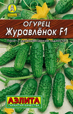 ������ ���������� F1