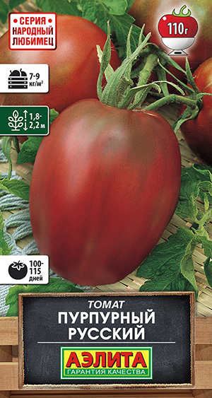 ����� ��������� �������