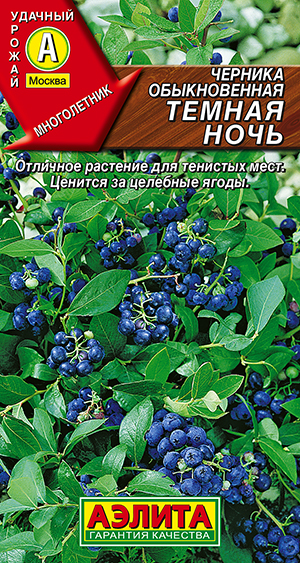 Черника обыкновенная Темная ночь Черника обыкновенная Темная ночь