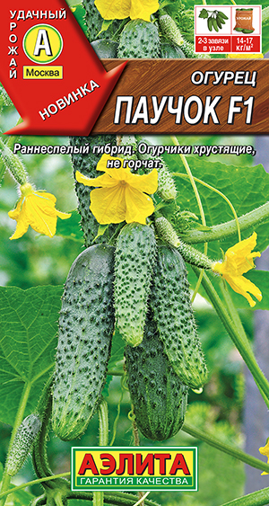 ������ ������ F1