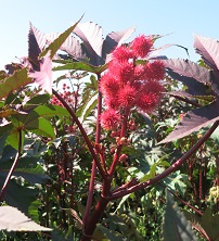 01-00009742-02 - ����