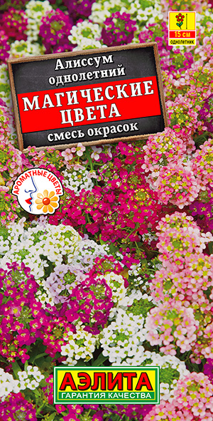 Алиссум Магические цвета, смесь сортов Алиссум Магические цвета, смесь сортов