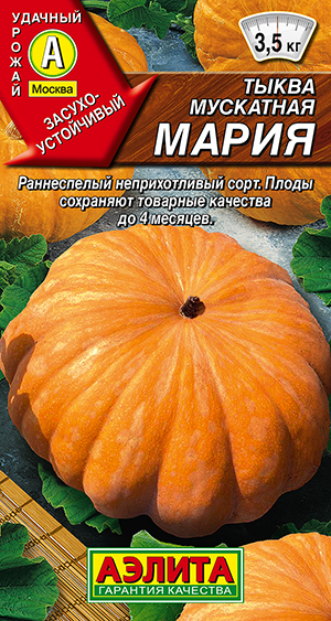 Тыква мускатная Мария Тыква мускатная Мария