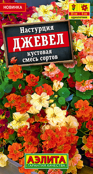 Настурция Джевел кустовая, смесь сортов