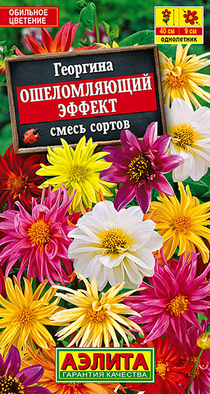 Георгина Ошеломляющий эффект, смесь сортов Георгина Ошеломляющий эффект, смесь сортов