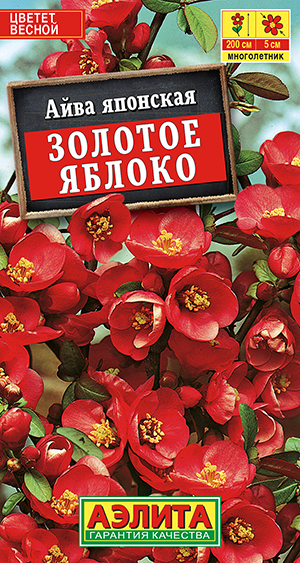 ���� �������� ������� ������