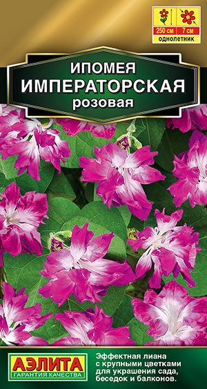 ������ ������������� �������