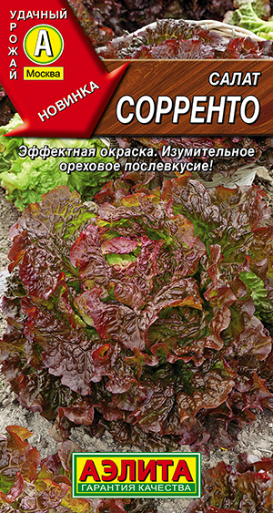 ����� ��������