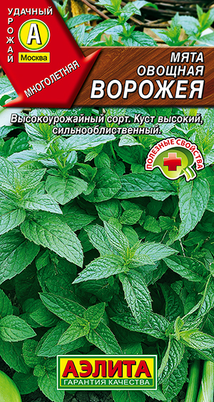 ���� ������� �������