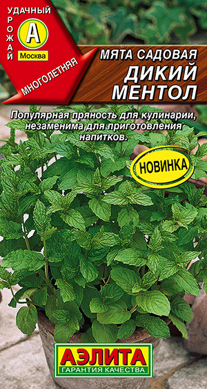 Мята садовая Дикий ментол