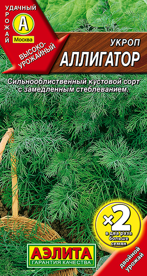 ����� ���������