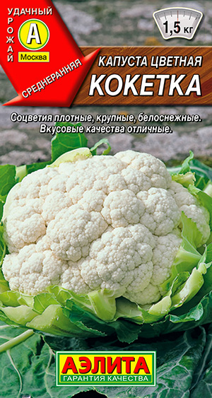 Капуста цветная Кокетка Капуста цветная Кокетка