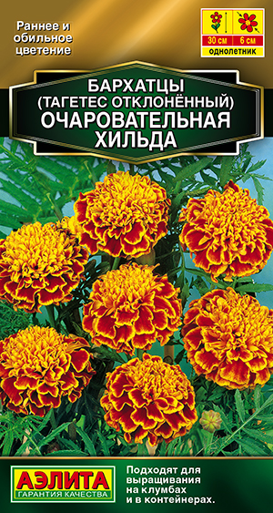 �������� �������������� ������ �����������