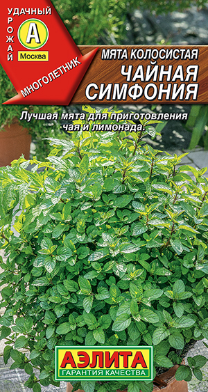 ���� ���������� ������ ��������